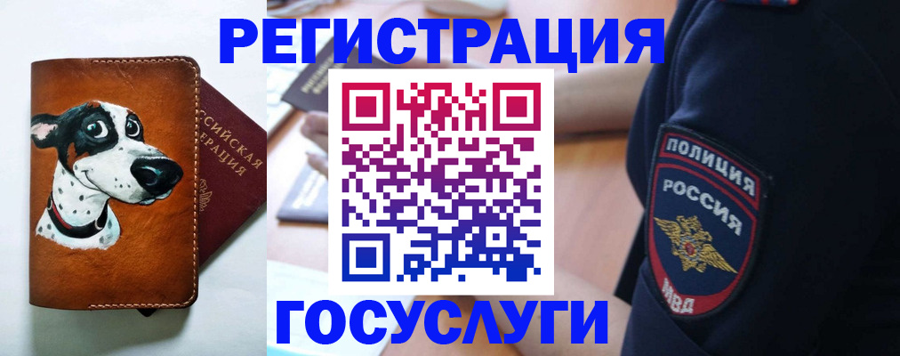 временная регистрация в квартире в Волхове